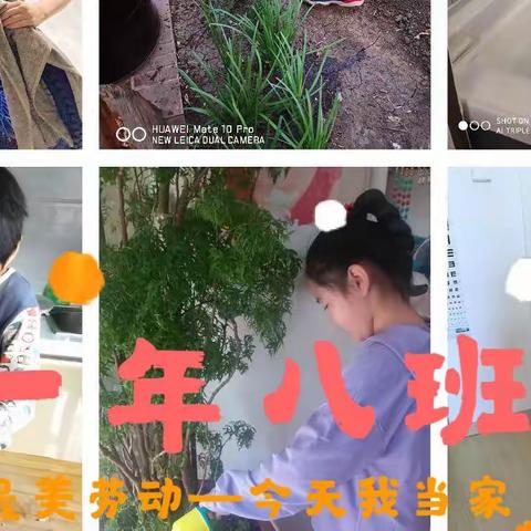 朝阳实验小学 一年八班 💕迎五一“最美劳动--今天我当家”主题活动