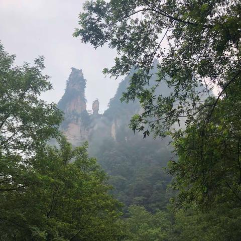 云川画廊湘西情