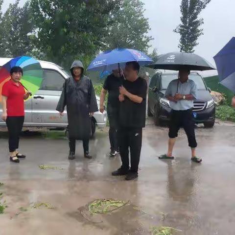 李台村众志成城 防汛抗洪