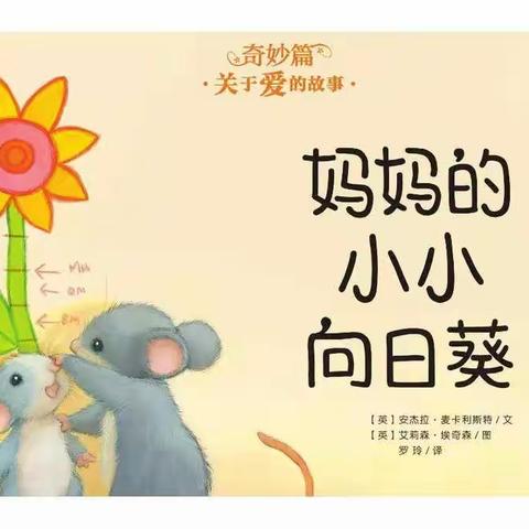 拥抱春天（六）——小小向日葵🌻