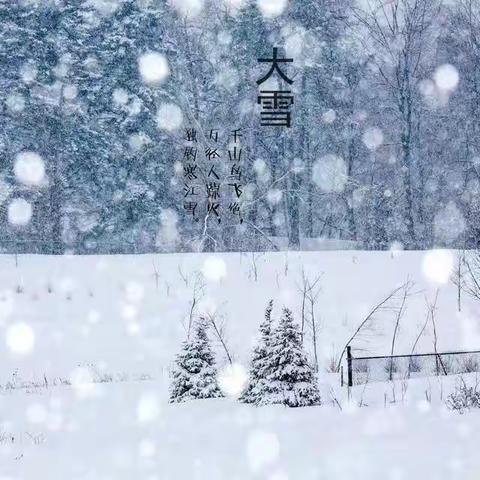 阳坊镇中心幼儿园——大雪至，冬安康