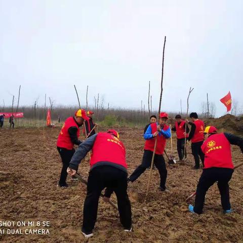 东铺镇积极践行绿色生活文明理念