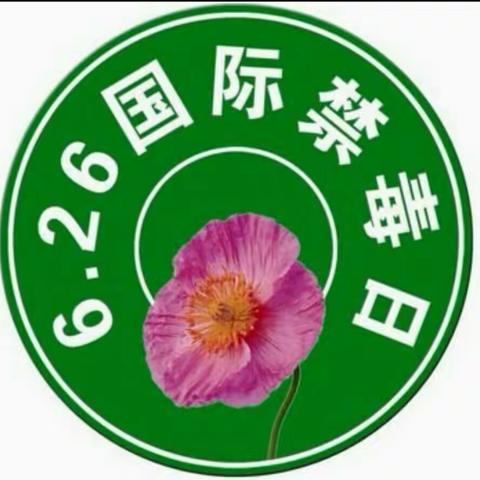 绥林一小“珍爱生命    远离毒品”主题教育活动