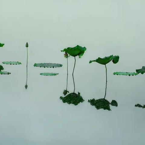 鄱湖渔歌（下）