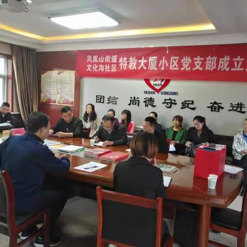 凤凰山街道文化沟社区 特教大厦小区党支部成立大会