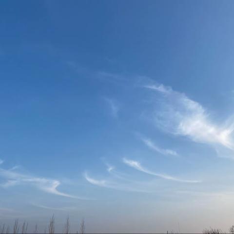 感悟青春，记录美好。小教1903乔雨竹