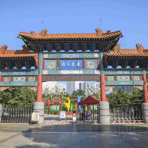 圣惠公园的荷花