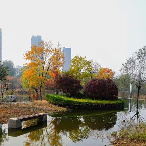 禹都公园秋意浓（2）新景观