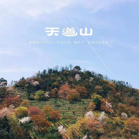 古意董家，美景如画一一山水茶乡冷市系列之三