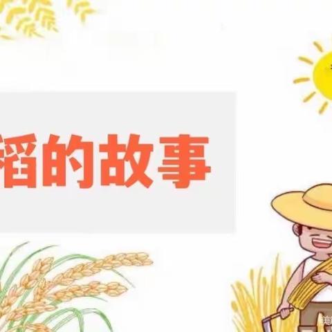 遇“稻”一粒米