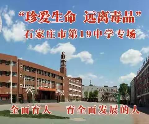 石家庄市第十九中学全体教工观看禁毒电影——《梦回远山》