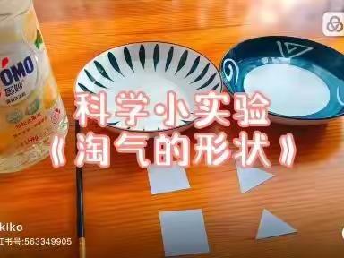 庐阳区安徽省委机关幼儿园教师隔空的爱——送给宅宝一日活动指导（小班年级组）