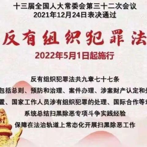 中华人民共和国反有组织犯罪法