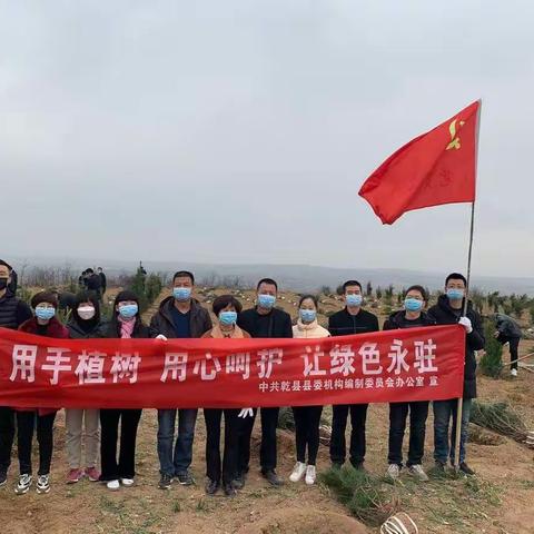 众志成城抗疫情植树添绿正当时