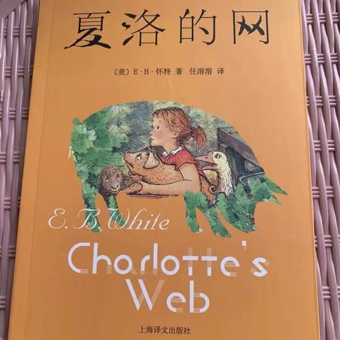 朝阳实验三年七班金熙媛家庭读书日