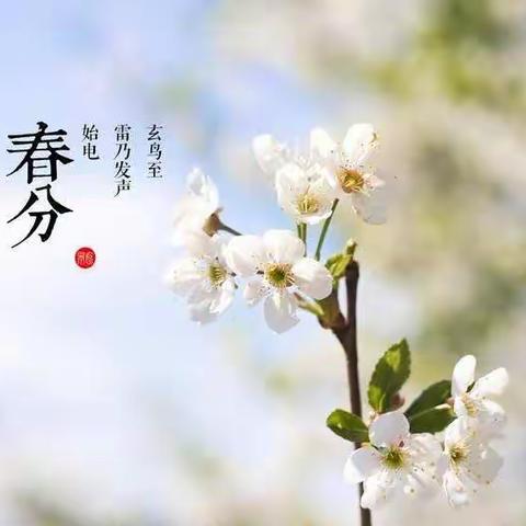 【乐玩相伴   共育成长】鸿翔幼儿园中一班