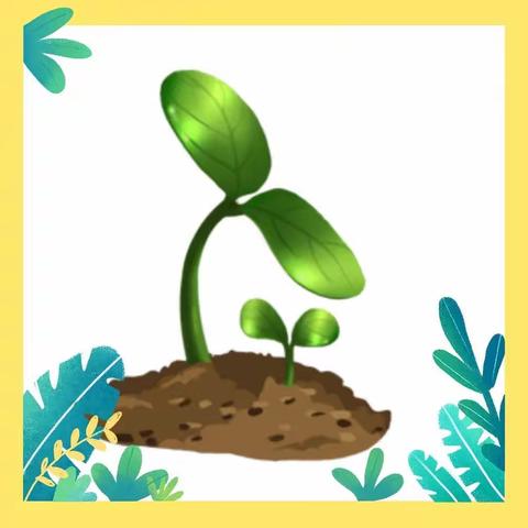 开心农场之快乐体验——文昌市第四幼儿园中二班种植活动美篇