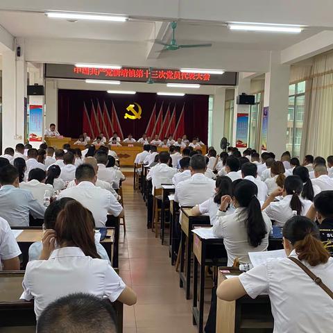 中国共产党新靖镇第十三次党员代表大会胜利召开