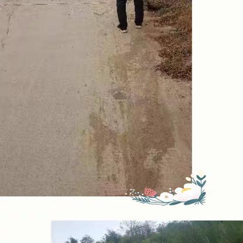 王家后乡路域整治：抓细节 补短板 力争实现村村净 村村绿