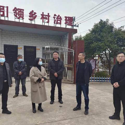 区领导到王家后乡开展调研