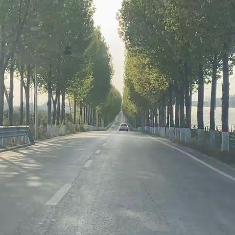 王家后乡：路域整治大行动 乡村道路换新颜