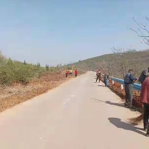 王家后乡：“三五”大创建 以景绘未来