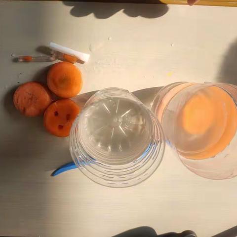 智慧树幼儿园科学探索——《萝卜潜水艇》