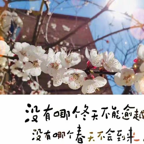 最是一年春好处，遍洒温情满心田