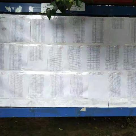 双桥头社区选举稳步推进，公示选民名单