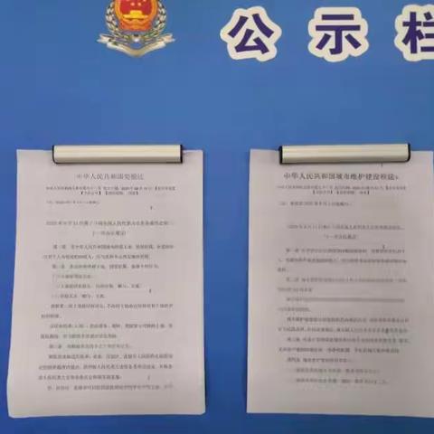 洛南县税务局党委书记、局长谢超现场督察督导新税法落实情况