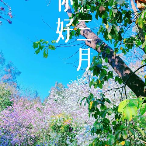 春风有信，三月花开——金江油库组织开展“三.八”妇女节活动
