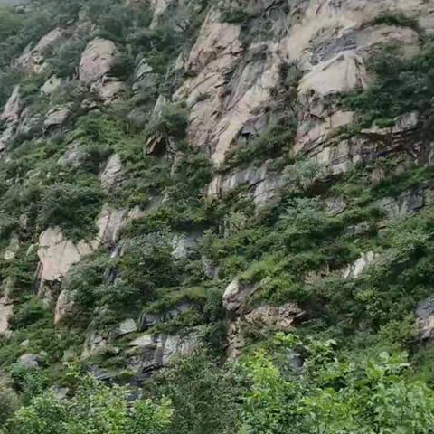 拥抱自然，放心去飞