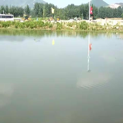 “撒欢果园，踏遍河滩，玩转童年”社会实践