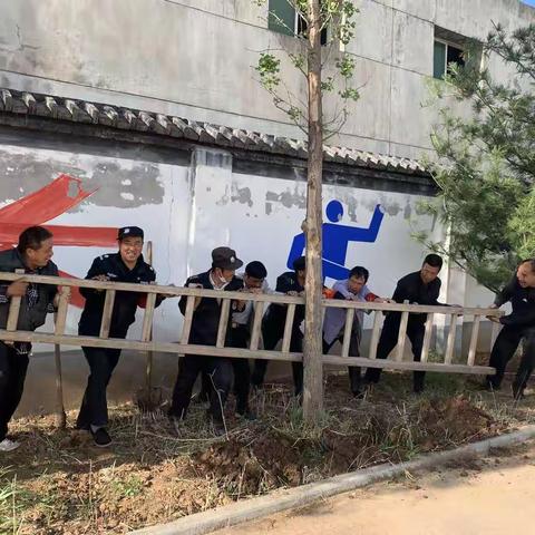 醉美园丁身影一一一新联中学打造高颜值学校在行动