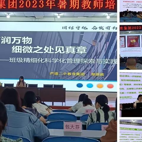 严道第二小学教育集团 2023年暑期教师培训