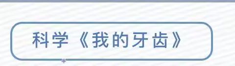 大班科学：《我的牙齿🦷》——樊林娜