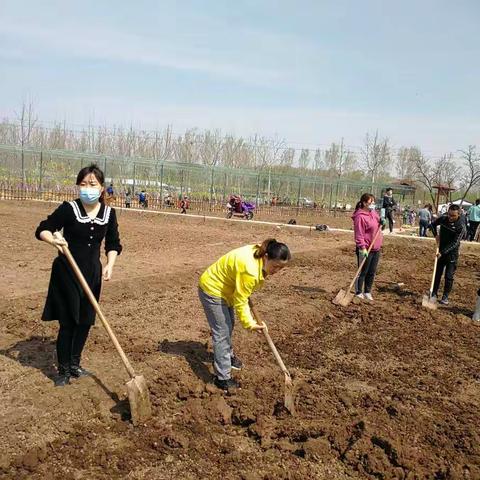 篱落疏疏一径深   树头新绿未成阴——东营区第一中学四年级九班劳动实践基地开园掠影