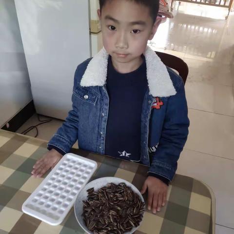 1000颗瓜子的数法