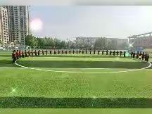 记录小白杨闪光的日子