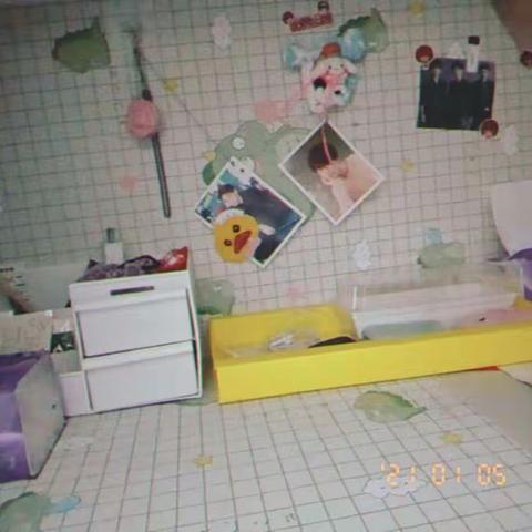 做家务的体会——五年1903班赵燕