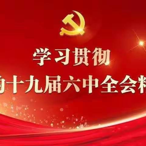 党的十九届六中全会精神专题辅导