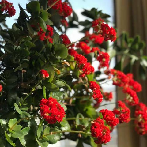 凤梓彤小朋友的艺术成长