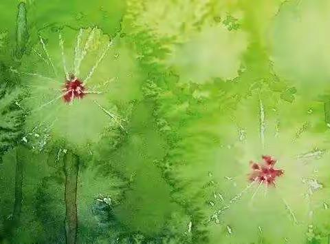 王鹤锦小朋友的艺术成长