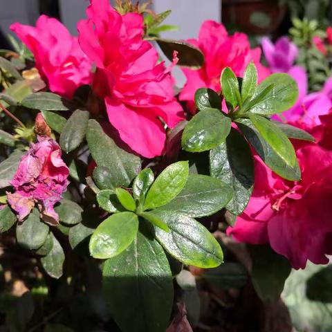 魏思颖小朋友的艺术成长