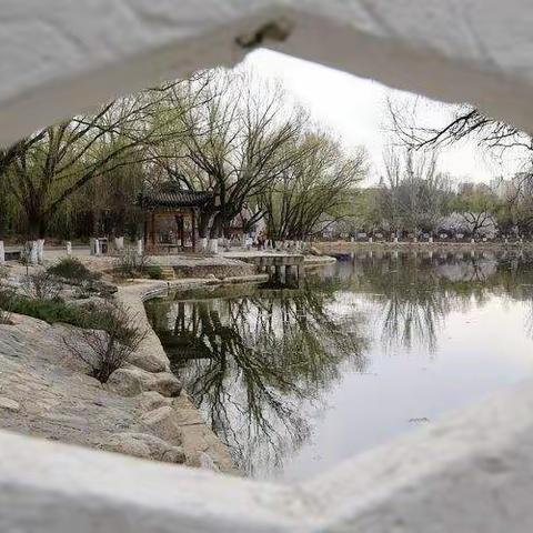 春到青城（四）水墨春园