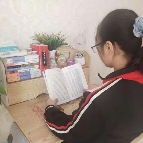 多彩的假期生活