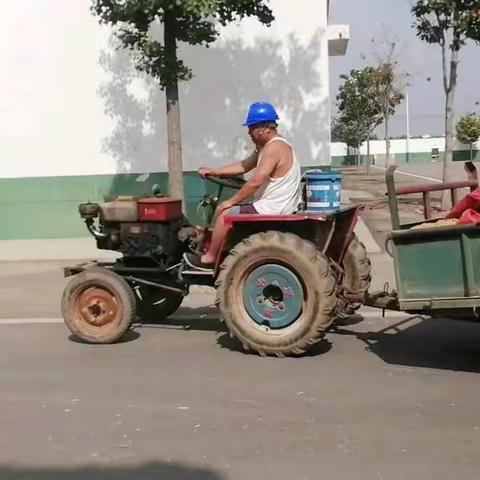 杨大爷卖粮记--濮阳直属库夏粮收购掠影