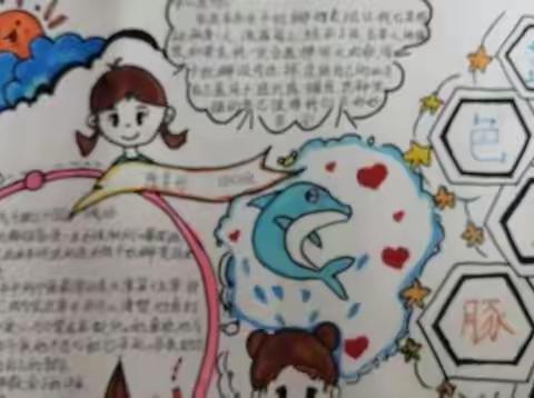 四六班读书小报《蓝色的海豚岛》
