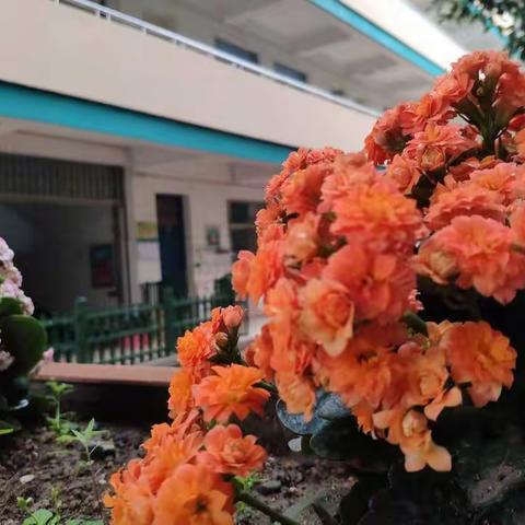 走进多彩的站前小学