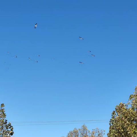 “刷”出一片万里长空